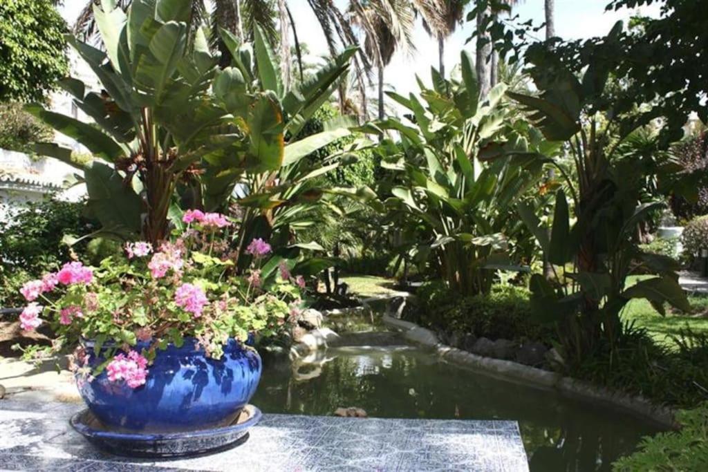 Beachfront Development With Tropical Gardens. Apartamento *
